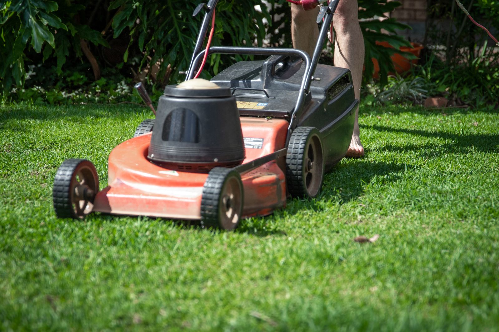 Lawn Treatments illustrative reference