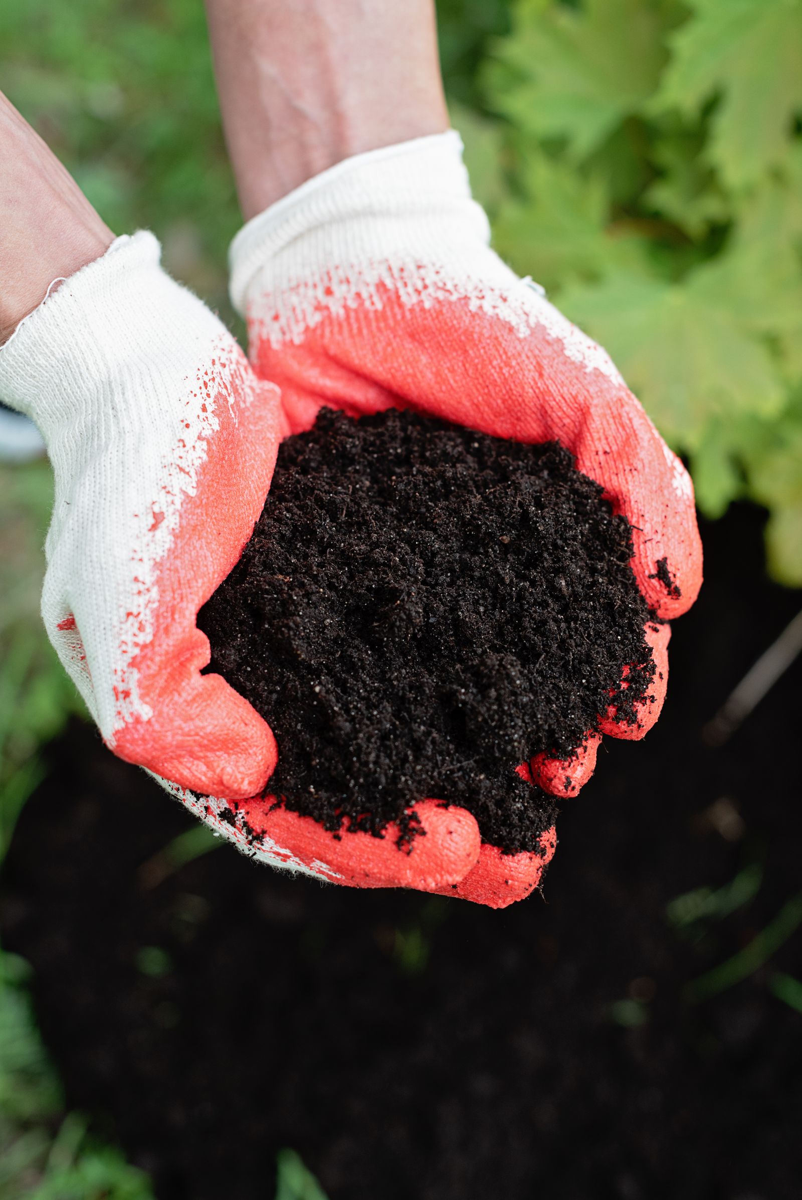 Topsoil Placement illustrative reference